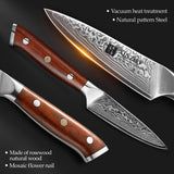 XINZUO 3.5" inch Paring knife Japan Damascus VG10 Steel Newest Fruit Peeler Knife Kitchen Knife Ultra Sharp with Rosewood Handle