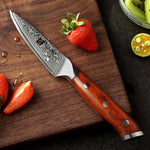 XINZUO 3.5" inch Paring knife Japan Damascus VG10 Steel Newest Fruit Peeler Knife Kitchen Knife Ultra Sharp with Rosewood Handle